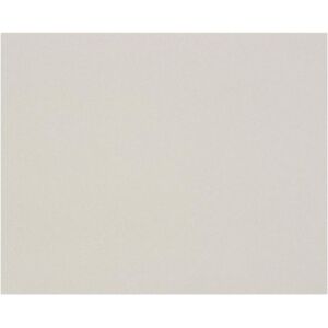 Clairefontaine, Papier à bricolage, Carton Gris 2,0mm 10F 80x120cm 1300g - Gris (10x) - Publicité Clairefontaine, Papier à bricolage, Carton Gris 2,0mm 10F 80x120cm 1300g - Gris (10x) - Publicité