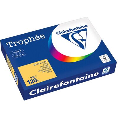 Papier de copie or Clairefontaine A4 - Papier de copie - Publicité Papier de copie or Clairefontaine A4 - Papier de copie - Publicité