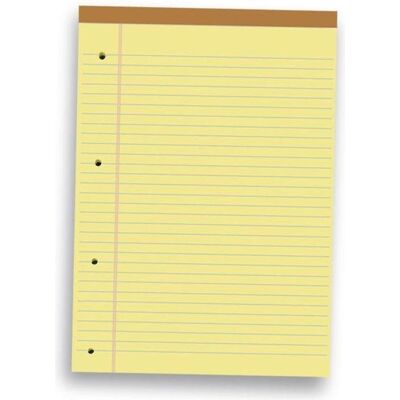 Pigna, Cahier + bloc-notes, Paquet de 10 blocs légaux 50 feuilles (A4, À rayures) - Publicité Pigna, Cahier + bloc-notes, Paquet de 10 blocs légaux 50 feuilles (A4, À rayures) - Publicité