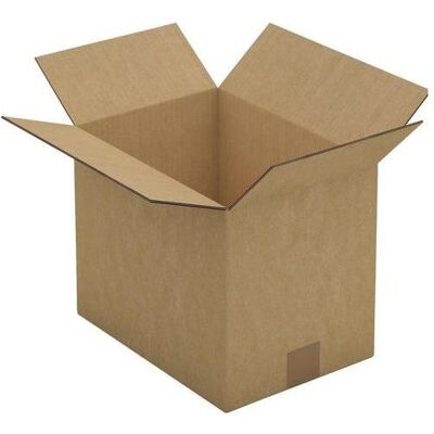 Rajapack, Emballage + boîte d'expédition, Raja Carton d'expédition à 2 cannelures Carton 220 (L) x 250 (P) x 310 (H) mm Marron (15 pcs, 25 x 22 x 31 cm) - Publicité Rajapack, Emballage + boîte d'expédition, Raja Carton d'expédition à 2 cannelures Carton 220 (L) x 250 (P) x 310 (H) mm Marron (15 pcs, 25 x 22 x 31 cm) - Publicité