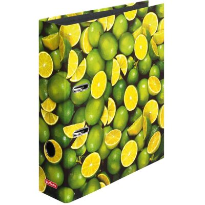 Herlitz, Classeur, Classeur à motifs Lemon (A4, 80 mm, 1 pcs) - Publicité Herlitz, Classeur, Classeur à motifs Lemon (A4, 80 mm, 1 pcs) - Publicité