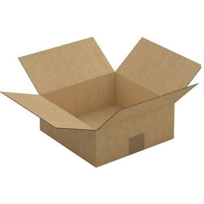 Rajapack, Emballage + boîte d'expédition, Raja Carton d'expédition à 1 cannelure Carton 250 (L) x 100 (P) x 250 (H) mm Marron (25 pcs) - Publicité Rajapack, Emballage + boîte d'expédition, Raja Carton d'expédition à 1 cannelure Carton 250 (L) x 100 (P) x 250 (H) mm Marron (25 pcs) - Publicité