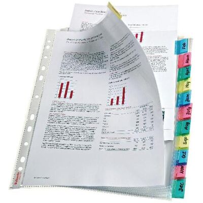 Leitz, Porte-documents, Enveloppe de l'index Perf 12 touches (A4) - Publicité Leitz, Porte-documents, Enveloppe de l'index Perf 12 touches (A4) - Publicité