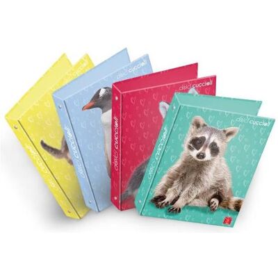 Pigna, Classeur, Lot de 5 classeurs à anneaux A4 (A4, 5 pcs) - Publicité Pigna, Classeur, Lot de 5 classeurs à anneaux A4 (A4, 5 pcs) - Publicité