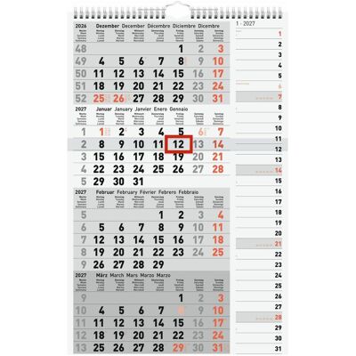 Ridoide, Calendrier + agenda, M-PLANER - 4 Monats-Kombiplaner - Publicité Ridoide, Calendrier + agenda, M-PLANER - 4 Monats-Kombiplaner - Publicité