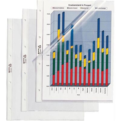 Rexel, Porte-documents, Pochettes de présentation A4 - PVC (A4, 100x) - Publicité Rexel, Porte-documents, Pochettes de présentation A4 - PVC (A4, 100x) - Publicité