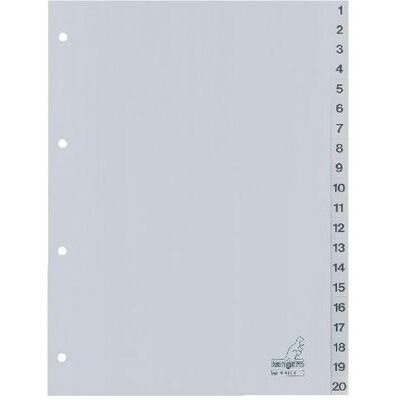 Kangaro, Classeur : accessoires, 1 à 20 onglets A4 20 pièces PP (polypropylène) 4 trous G420C - Publicité Kangaro, Classeur : accessoires, 1 à 20 onglets A4 20 pièces PP (polypropylène) 4 trous G420C - Publicité