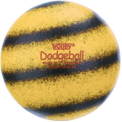 Volley Balle en mousse souple Dodgeball - Publicité Volley Balle en mousse souple Dodgeball - Publicité