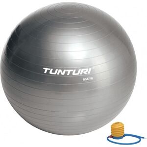 Ballon de Fitness Tunturi 65cm Argent - Fitness Ball - Publicité Ballon de Fitness Tunturi 65cm Argent - Fitness Ball - Publicité