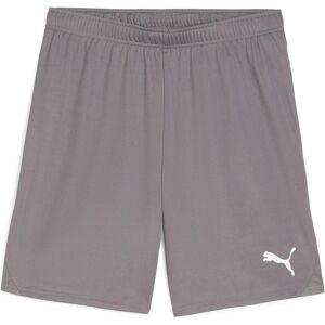Puma Homme, Pantalon de sport, shorts teamGOAL (3XL), Gris - Pantalon de sport - Publicité Puma Homme, Pantalon de sport, shorts teamGOAL (3XL), Gris - Pantalon de sport - Publicité
