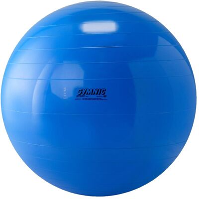 Ballon d'Exercice Gymnic Classic - 65cm pour Fitness & Réhabilitation - Publicité Ballon d'Exercice Gymnic Classic - 65cm pour Fitness & Réhabilitation - Publicité