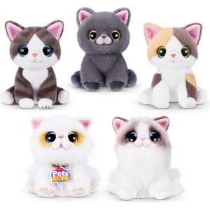 Zuru Pets Alive - Smitten Kittens S2 (modèle aléatoire) (20.50 cm) - Publicité Zuru Pets Alive - Smitten Kittens S2 (modèle aléatoire) (20.50 cm) - Publicité