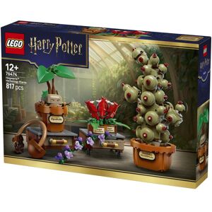 Hogwarts Harry Potter Plantes en mouvement (76474, LEGO Harry Potter) - Publicité Hogwarts Harry Potter Plantes en mouvement (76474, LEGO Harry Potter) - Publicité