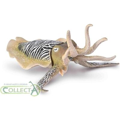 Collecta Gemeiner Tintenfisch - Publicité Collecta Gemeiner Tintenfisch - Publicité