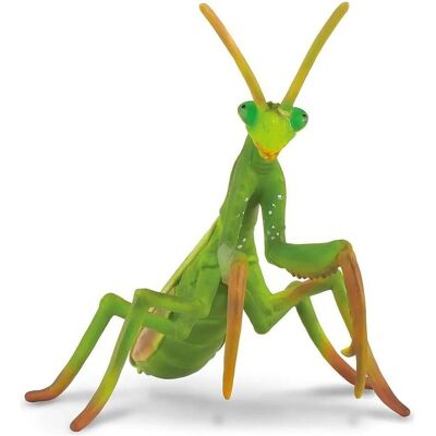 Collecta Sammler-Mantis-Figur (004-88351) - Publicité Collecta Sammler-Mantis-Figur (004-88351) - Publicité