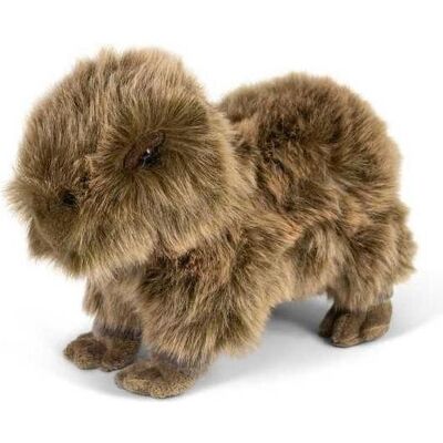 Kapibara One for Fun - Peluche doux - Publicité Kapibara One for Fun - Peluche doux - Publicité