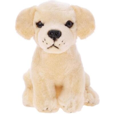 Beppe Le fournisseur n'a pas fourni le nom du produit (20 cm) - Publicité Beppe Le fournisseur n'a pas fourni le nom du produit (20 cm) - Publicité