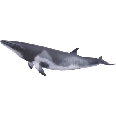 Collecta Figurka Surinkite MINKE WHALE - Publicité Collecta Figurka Surinkite MINKE WHALE - Publicité