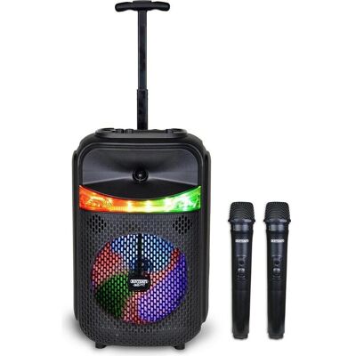 Bontempi Trolley Amplificatore Wireless con 2 Microfono Wireless e funzione TWS - Publicité Bontempi Trolley Amplificatore Wireless con 2 Microfono Wireless e funzione TWS - Publicité