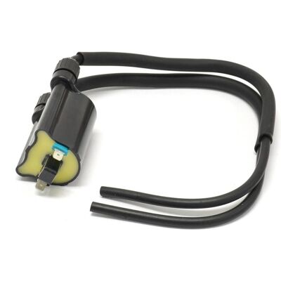 Emgo, Moto : accessoires, BOBINE D'ALLUMAGE HONDA CB 600 F HORNET (2003-2009), FJS 600 SILVERWING (2002-2013), VT 750 C - Publicité Emgo, Moto : accessoires, BOBINE D'ALLUMAGE HONDA CB 600 F HORNET (2003-2009), FJS 600 SILVERWING (2002-2013), VT 750 C - Publicité