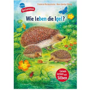 Arena Reichenstetter:Sachwissen für Erstleser, Manuels scolaires de Hans-Günther Döring, Friederun Reichenstetter - Publicité Arena Reichenstetter:Sachwissen für Erstleser, Manuels scolaires de Hans-Günther Döring, Friederun Reichenstetter - Publicité