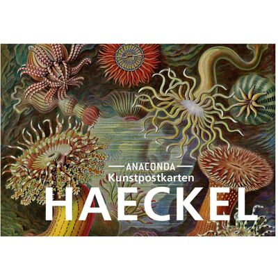 Anaconda, Carte de vœux + papier à lettres, Set de cartes postales Ernst Haeckel (18 pcs) - Publicité Anaconda, Carte de vœux + papier à lettres, Set de cartes postales Ernst Haeckel (18 pcs) - Publicité