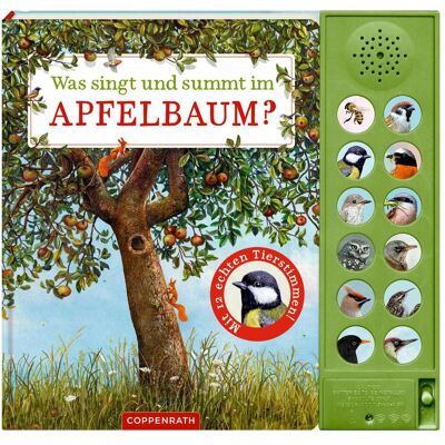 Coppenrath, Livres pour bébé, Was singt und summt im Apfelbaum? (Allemand) - Publicité Coppenrath, Livres pour bébé, Was singt und summt im Apfelbaum? (Allemand) - Publicité