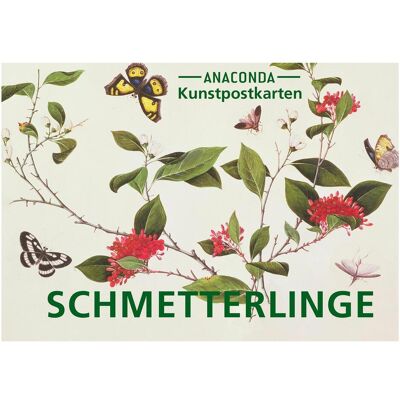 Anaconda, Carte de vœux + papier à lettres, Set de cartes postales Papillons (20 pcs) - Publicité Anaconda, Carte de vœux + papier à lettres, Set de cartes postales Papillons (20 pcs) - Publicité