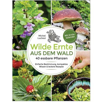 Bassermann Wilde Ernte aus dem Wald - 40 essbare Pflanzen - einfache Bestimmung, kompaktes Wissen und leckere, Guide de Michel Luchesi - Publicité Bassermann Wilde Ernte aus dem Wald - 40 essbare Pflanzen - einfache Bestimmung, kompaktes Wissen und leckere, Guide de Michel Luchesi - Publicité