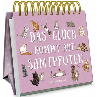Coppenrath Das Glück kommt auf Samtpfoten, Fiction de Julia Gerigk - Publicité Coppenrath Das Glück kommt auf Samtpfoten, Fiction de Julia Gerigk - Publicité
