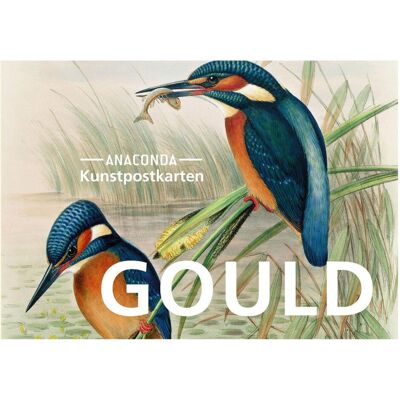Anaconda, Carte de vœux + papier à lettres, Set de cartes postales John Gould (1 pcs) - Publicité Anaconda, Carte de vœux + papier à lettres, Set de cartes postales John Gould (1 pcs) - Publicité