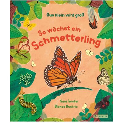 Prestel Aus klein wird gross. So wächst ein Schmetterling, Livre pour enfants de Bianca Autriche, Sara Forster - Publicité Prestel Aus klein wird gross. So wächst ein Schmetterling, Livre pour enfants de Bianca Autriche, Sara Forster - Publicité