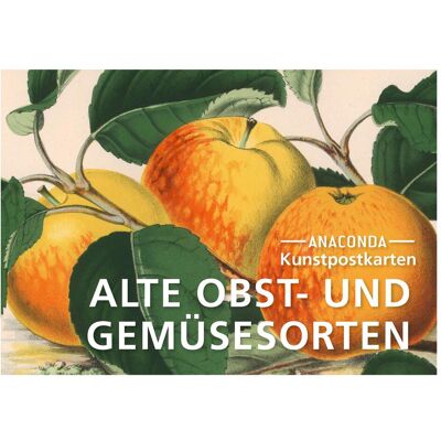 Anaconda, Carte de vœux + papier à lettres, Set de cartes postales Anciennes variétés de fruits et légumes (20 pcs) - Publicité Anaconda, Carte de vœux + papier à lettres, Set de cartes postales Anciennes variétés de fruits et légumes (20 pcs) - Publicité