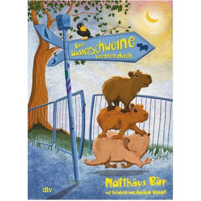 DTV Drei Wasserschweine brennen durch, Livre pour enfants de Annika Voigt, Matthäus Bär - Publicité DTV Drei Wasserschweine brennen durch, Livre pour enfants de Annika Voigt, Matthäus Bär - Publicité