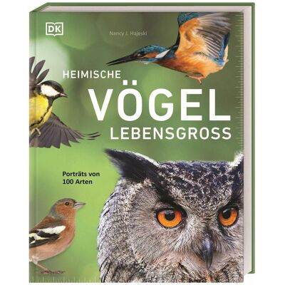 Dorling Kindersley Heimische Vögel lebensgross, Guide de Nancy J. Hajeski, Andreas Held, Nancy J Hajeski - Publicité Dorling Kindersley Heimische Vögel lebensgross, Guide de Nancy J. Hajeski, Andreas Held, Nancy J Hajeski - Publicité