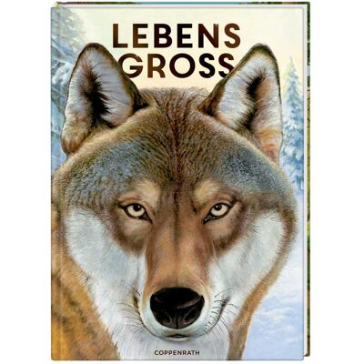 Coppenrath Lebensgross Tiere des Waldes (Nature Zoom), Livre pour enfants de Holger Hague - Publicité Coppenrath Lebensgross Tiere des Waldes (Nature Zoom), Livre pour enfants de Holger Hague - Publicité