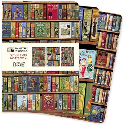Browntrout Verlag, Cahier + bloc-notes, Bodleian Libraries Set de 3 Midi Notebooks (À rayures, Blanc, Couverture rigide) - Publicité Browntrout Verlag, Cahier + bloc-notes, Bodleian Libraries Set de 3 Midi Notebooks (À rayures, Blanc, Couverture rigide) - Publicité