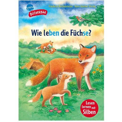 Arena Sachwissen für Erstleser – Wie leben die Füchse?, Manuels scolaires de Friederun Reichenstetter, Hans-Günther Döring - Publicité Arena Sachwissen für Erstleser – Wie leben die Füchse?, Manuels scolaires de Friederun Reichenstetter, Hans-Günther Döring - Publicité