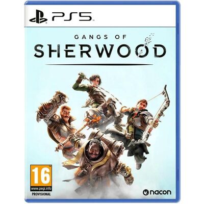 Nacon Gaming, Gangs of Sherwood - Sony PlayStation 5 - Action - PEGI 16 - Publicité Nacon Gaming, Gangs of Sherwood - Sony PlayStation 5 - Action - PEGI 16 - Publicité