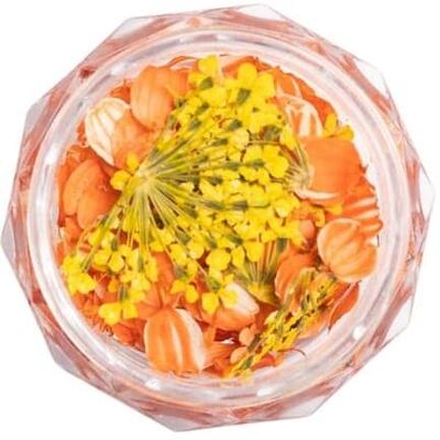 Semilac, Nail art + faux ongles, Flower Flakes Golden Sunset Golden & Orange Nail Decoration - Dried (Décoration des ongles, Coucher de soleil doré, Or & Orange) - Publicité Semilac, Nail art + faux ongles, Flower Flakes Golden Sunset Golden & Orange Nail Decoration - Dried (Décoration des ongles, Coucher de soleil doré, Or & Orange) - Publicité