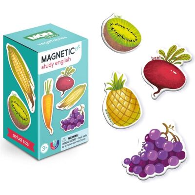 Dodo Set magnétique en anglais (Anglais, 3 - 10 Années) - Publicité Dodo Set magnétique en anglais (Anglais, 3 - 10 Années) - Publicité