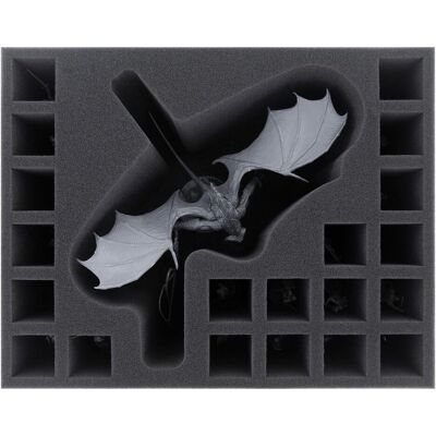 Feldherr FSMEPD140BO - Insert en mousse pour le jeu de stratégie sur table Middle-earth (Mousse) - Publicité Feldherr FSMEPD140BO - Insert en mousse pour le jeu de stratégie sur table Middle-earth (Mousse) - Publicité