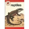 Reptiles