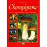 Champignons. Les identifier, les cuisiner