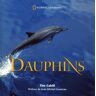 Dauphins