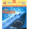 Les requins