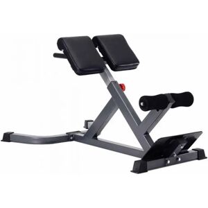 Banc lombaires Titanium Strength BH45 45 degrés - Publicité