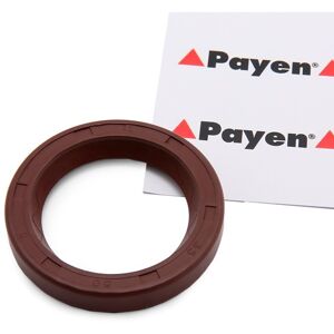 PAYEN Joint d'Arbre FIAT,HYUNDAI,PEUGEOT NF841 023614,93501128,9350112880 Bague d'Étancheite Arbre a Cames,Bague d'etancheite, arbre a cames 93501138