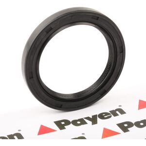 PAYEN Joint Spi De Vilebrequin FIAT,HYUNDAI,KIA NJ005 2142133114,MD008882,MD050606 Bague d'Étancheite De Vilebrequin,Bague d'etancheite, vilebrequin