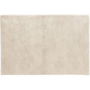 ALTEREGO Tapis de salon shaggy 'TISSO' beige - 120x170 cm